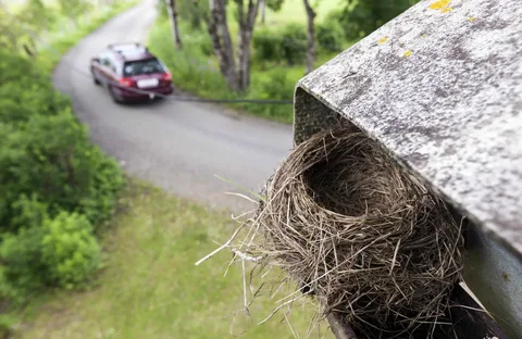 Car Loans Crows Nest