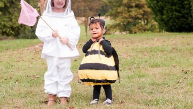 beekeeper suit Costume, Toddlers Halloween Costume